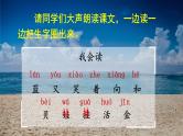 人教统编版小学语文一年级上册《11 项链》课堂教学课件PPT公开课