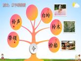 人教统编版小学语文二年级上册《5 玲玲的画》课堂教学课件PPT公开课