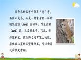 人教统编版小学语文二年级上册《13 寒号鸟》课堂教学课件PPT公开课