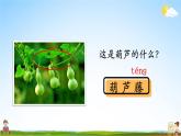 人教统编版小学语文二年级上册《14 我要的是葫芦》课堂教学课件PPT公开课