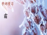 人教统编版小学语文二年级上册《20 雾在哪里》课堂教学课件PPT公开课