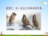 人教统编版小学语文四年级上册《16 麻雀》课堂教学课件PPT公开课