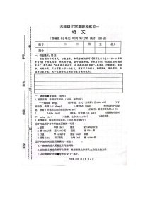 甘肃省庆阳市宁县太昌乡小学2023-2024学年六年级上学期10月月考语文试题