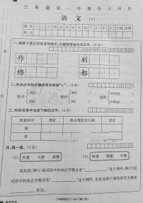 山西省朔州市朔城区新星小学校2023-2024学年二年级上学期第一次月考语文试卷