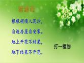 人教统编版小学五年级语文上册《2 落花生》课堂教学课件PPT公开课