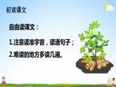 人教统编版小学五年级语文上册《2 落花生》课堂教学课件PPT公开课