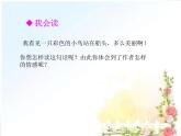 部编版语文三年级上册《搭船的鸟》PPT课件