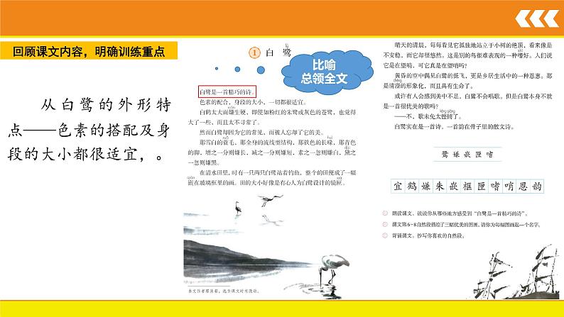 白鹭（课件）统编版语文五年级上册06