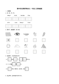 期中阶段调研卷-2023-2024学年语文一年级上册（统编版）