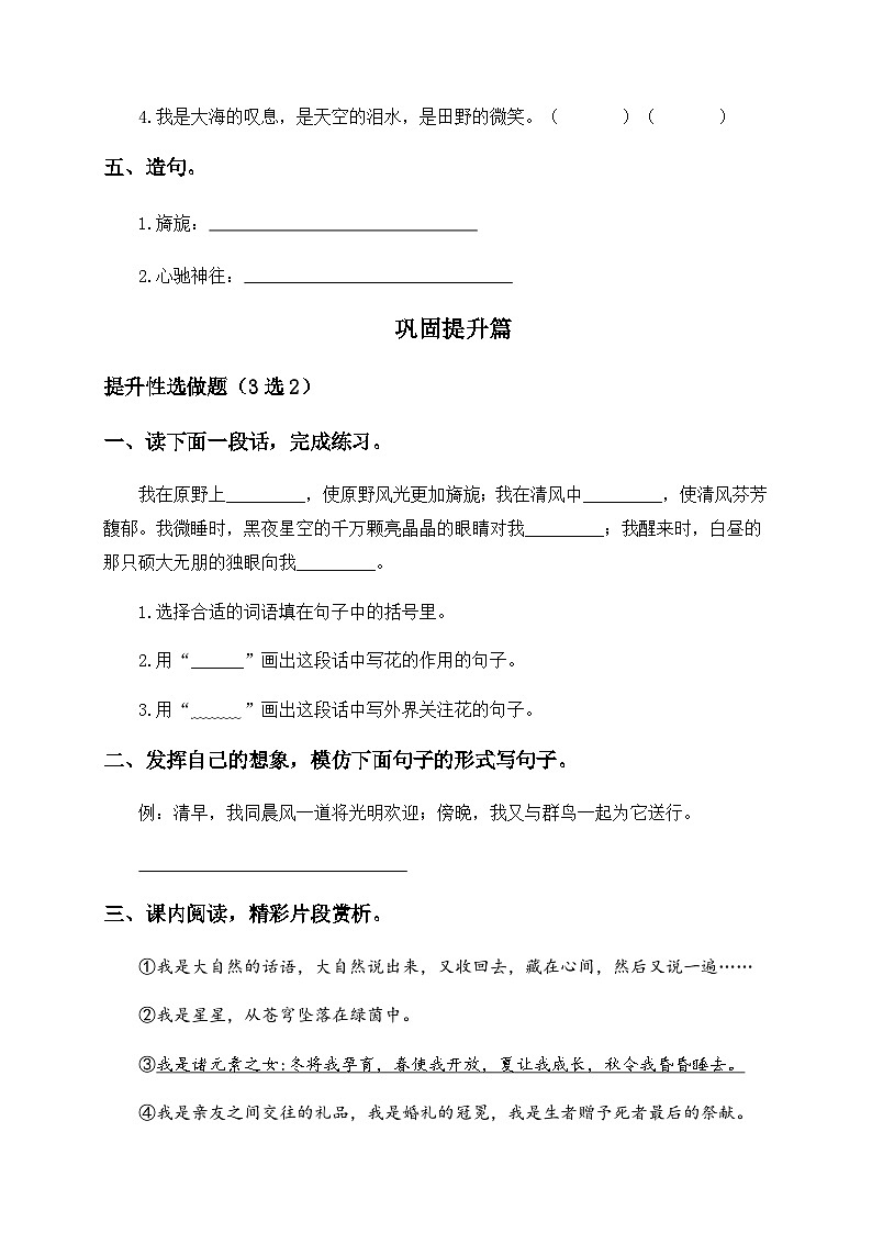 统编版六年级语文上册-4.花之歌-分层课时练第2页
