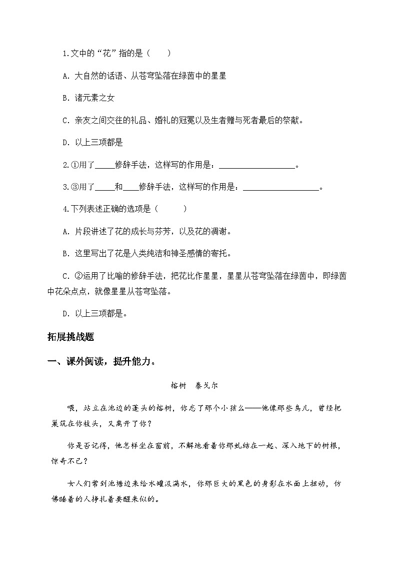 统编版六年级语文上册-4.花之歌-分层课时练第3页