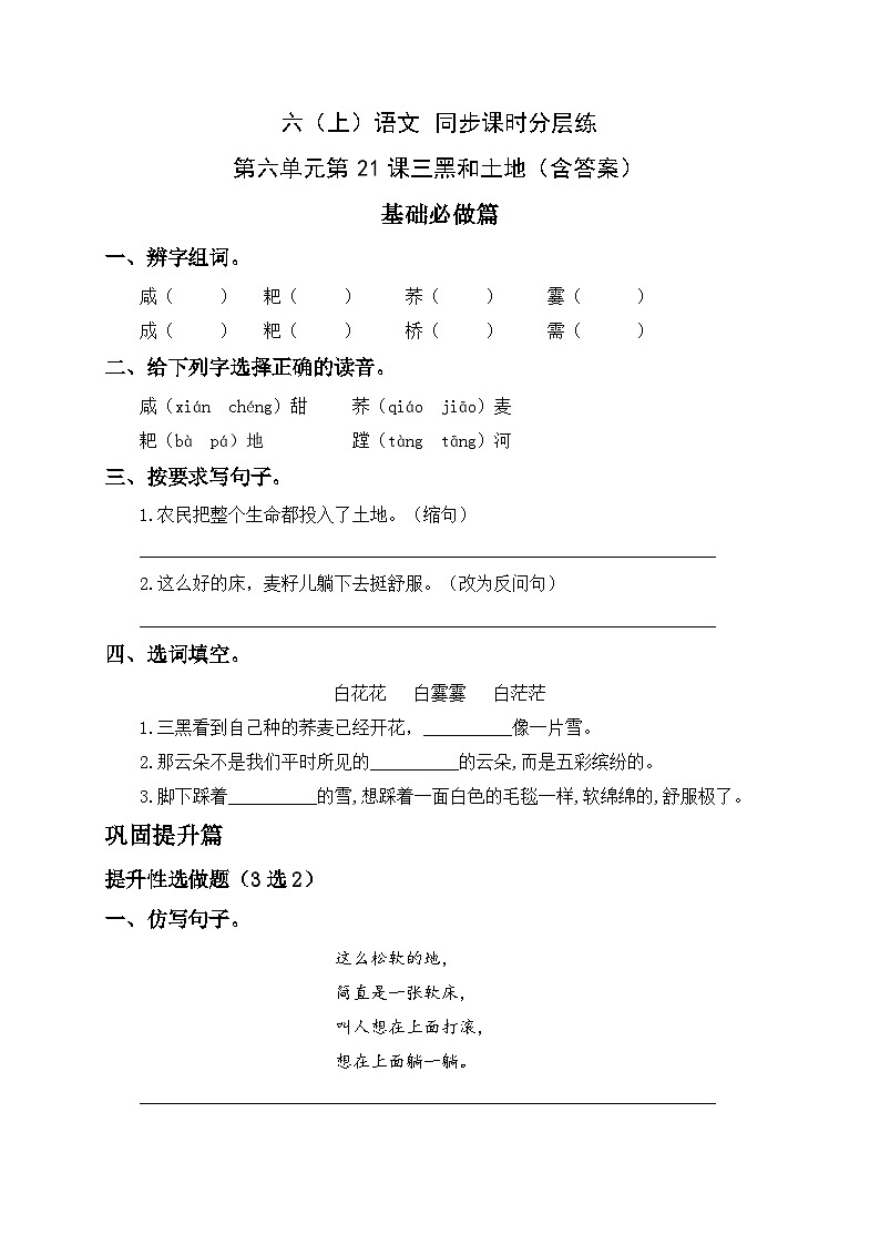 统编版六年级语文上册-21.三黑和土地-分层课时练01
