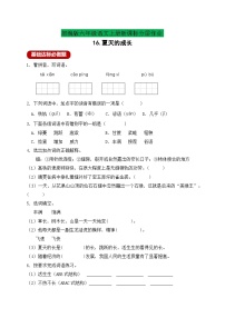 小学语文人教部编版六年级上册夏天里的成长优秀课时训练