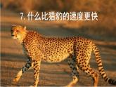 金坛区部编版五年级语文上册第7课《什么比猎豹的速度更快》课件（含2课时）