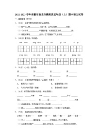 2022-2023学年安徽省淮北市濉溪县五年级上学期期末语文试卷（含解析）