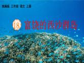 统编版三年级语文上册第六单元18 富饶的西沙群岛课件PPT