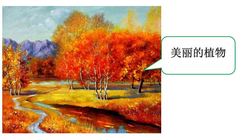 统编版三年级语文上册第五单元 习作 我们眼中的缤纷世界课件PPT03