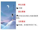 统编版三年级语文上册第五单元15搭船的鸟课件PPT