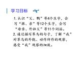 统编版三年级语文上册第五单元15搭船的鸟课件PPT
