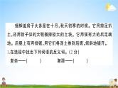统编版小学四年级语文上册期末复习教学课件 专项复习：阅读专项试题及答案
