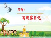 部编版语文四年级上册第三单元《习作：写观察日记》课件PPT