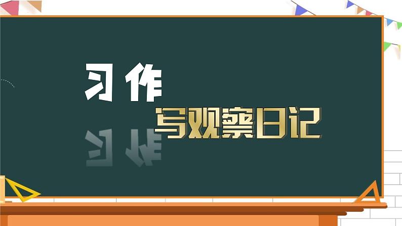 写观察日记36课件PPT第1页