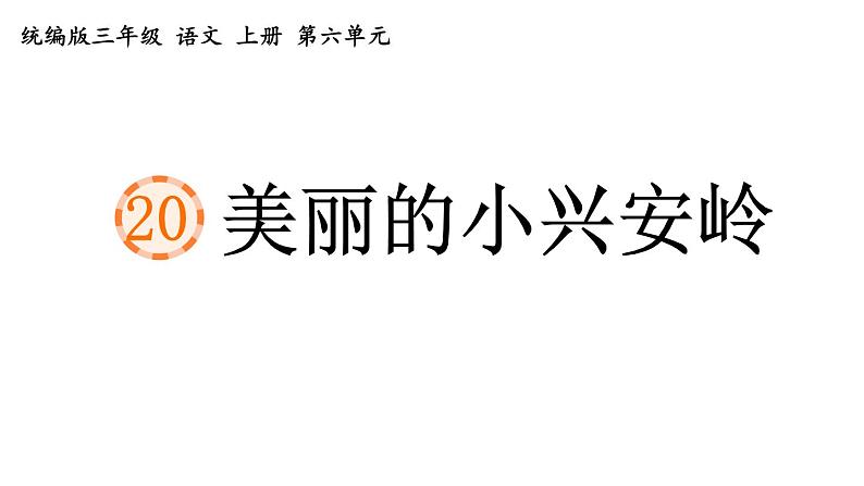 部编版三年级语文上册20.美丽的小兴安岭课件PPT02