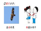 统编版三年级语文上册第七单元 22 读不完的大书课件PPT