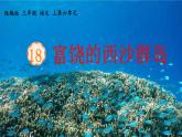 统编版三年级语文上册 18 富饶的西沙群岛课件PPT