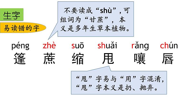 六年级语文上册-第五单元复习课件03