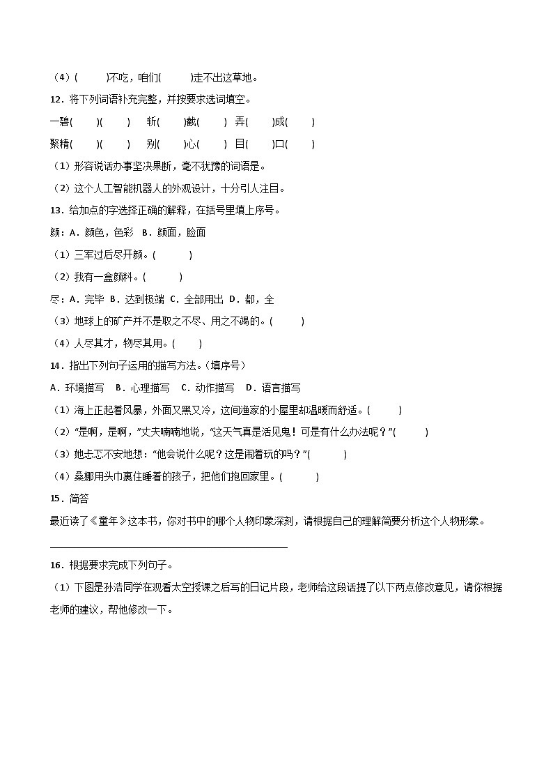 期中知识积累专项攻略-（含答案）2023-2024学年语文六年级上册 统编版 练习03