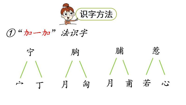 统编版三年级语文上册第八单元25 灰雀课件PPT第8页