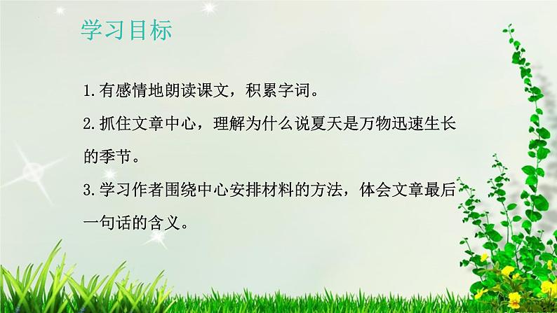 夏日里的成长课件PPT03