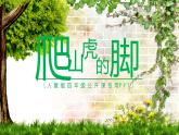 爬山虎的脚PPT课件2