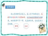 爬山虎的脚PPT课件7