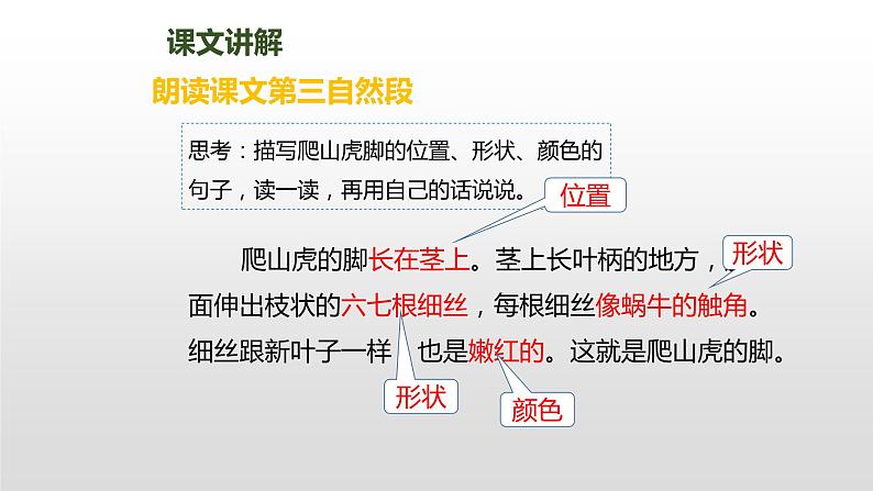 爬山虎的脚PPT课件5第4页