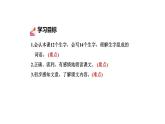 普罗米修斯PPT课件8