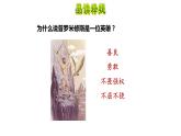 普罗米修斯PPT课件7