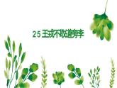 王戎不取道旁李PPT课件2