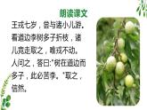 王戎不取道旁李PPT课件2