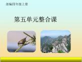 麻雀 与爬天都峰单元整合课件PPT
