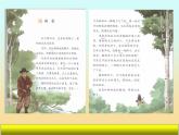 麻雀 与爬天都峰单元整合课件PPT