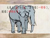 曹冲称象  公开课 第二课时 课件