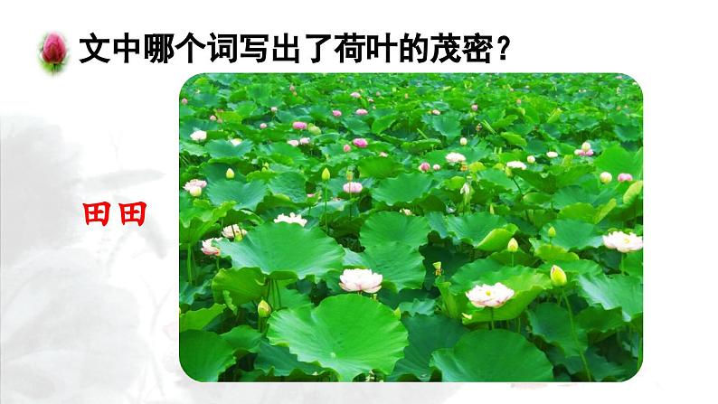 3.江南第2课时课件PPT06