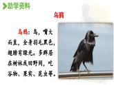 13.乌鸦喝水第1课时课件PPT