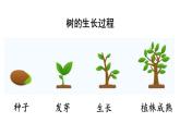 统编版三年级语文上册第三单元9 那一定会很好课件PPT