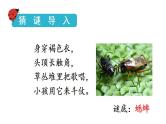 统编版三年级语文上册第三单元10 在牛肚子里旅行课件PPT
