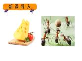 统编版三年级语文上册第三单元11一块奶酪课件PPT