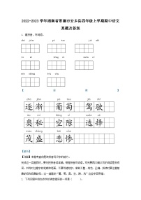 2022-2023学年湖南省常德市安乡县四年级上学期期中语文真题及答案