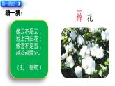 18 棉花姑娘第二课时课件PPT
